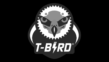 Vente de vélo T-Bird à Mécavélo Lyon