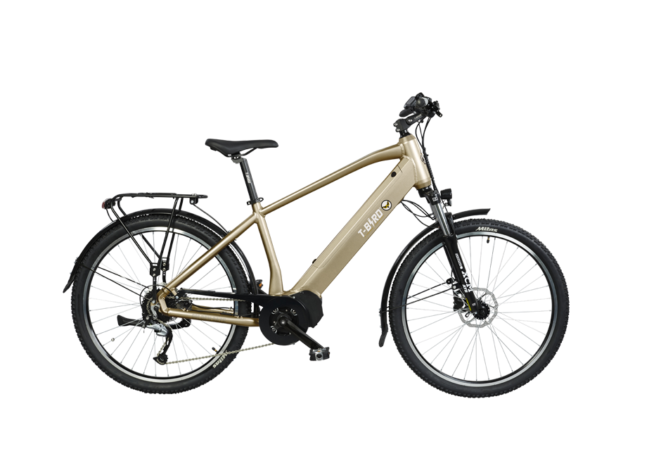 VAE Golden Gate sport - T-Bird