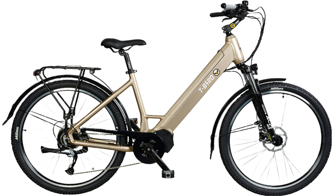 VAE Golden Gate - T-Bird